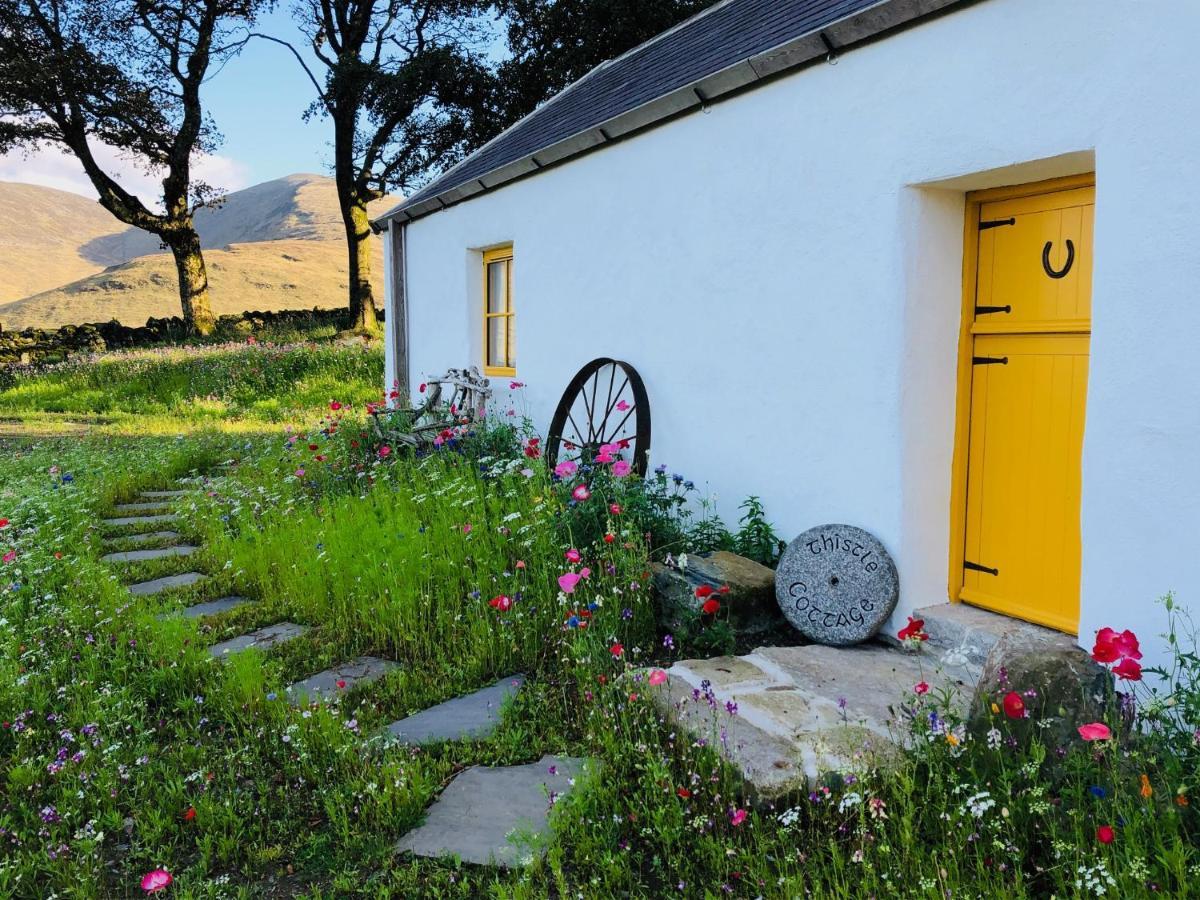 Thistle Thatch Cottage And Hot Tub - Mourne Mountains Newcastle  Esterno foto