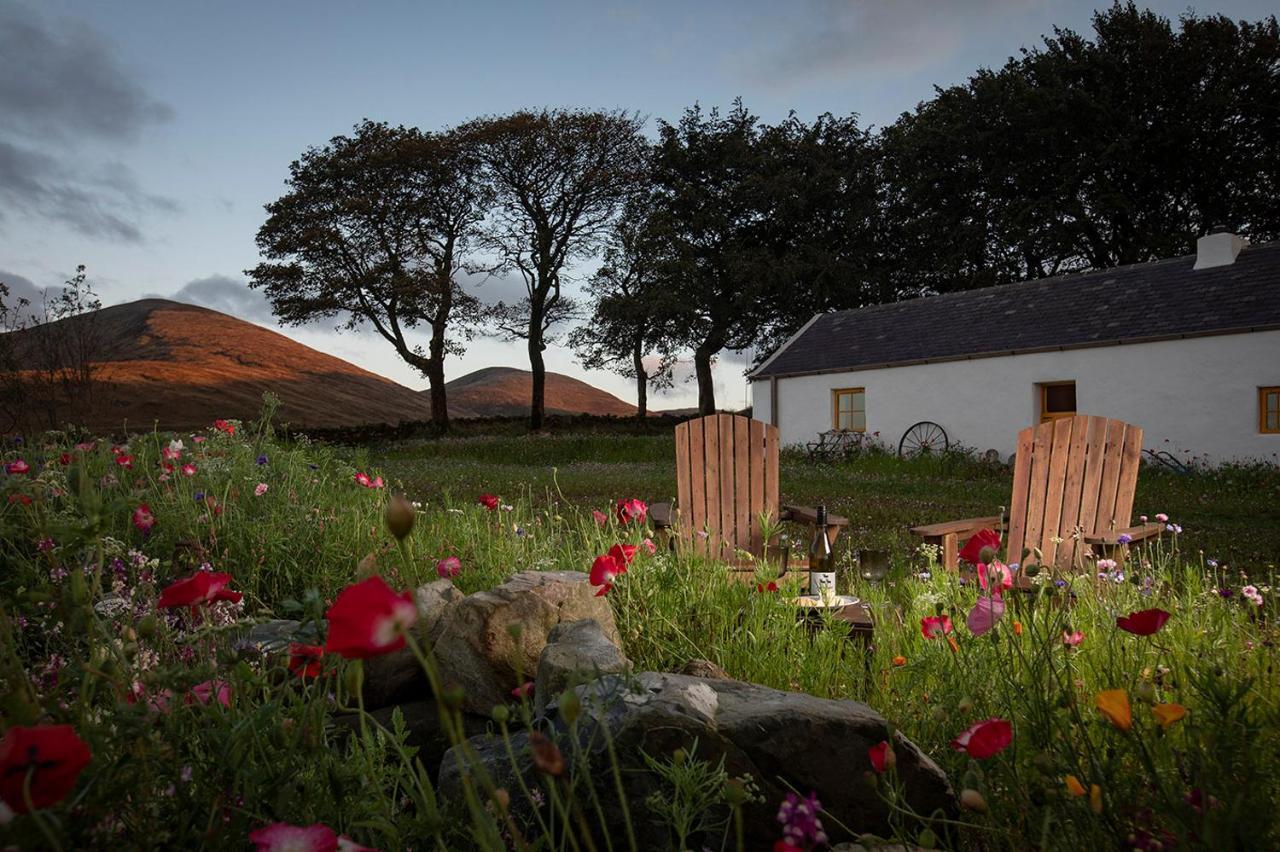 Thistle Thatch Cottage And Hot Tub - Mourne Mountains Newcastle  Esterno foto